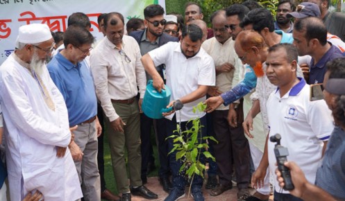 রাজশাহী নগরে আড়াই লাখ বৃক্ষরোপণ কর্মসূচির উদ্বোধন