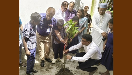 রাজশাহীতে সরকারি প্রাথমিক বিদ্যালয়ে বৃক্ষরোপণ কর্মসূচির উদ্বোধন