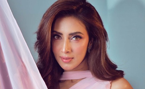 ছবিতে গোলাপি মিম