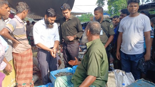 জেলি মিশেয়ে চিংড়ি বিক্রি, ব্যবসায়ীকে জরিমানা
