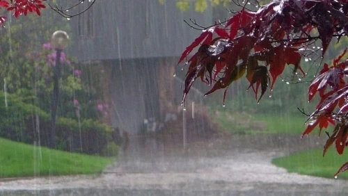 দেশজুড়ে বৃষ্টির আভাস, আগামী ২ দিন ভারী বর্ষণের সম্ভাবনা