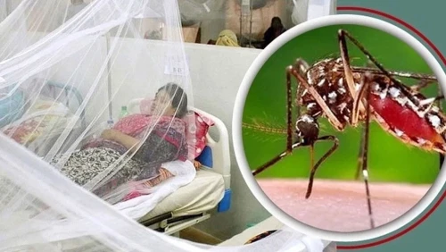 ডেঙ্গুতে চলতি বছর মৃত্যু ১০০ ছাড়াল