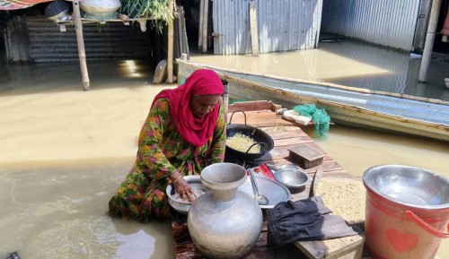 পদ্মার চরাঞ্চলে বন্যায় পানিবন্দি মানুষ, সরিয়ে নিচ্ছেন বাড়িঘর