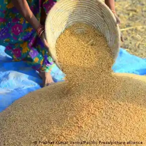 ভারত থেকে আবার গম কিনছে বাংলাদেশ