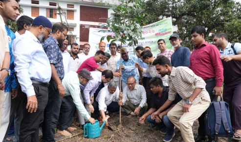 রাবিতে বৃক্ষরোপণ কর্মসূচি উদ্বোধন