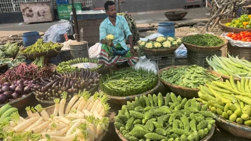 শীতের আগাম সবজিতে স্বস্তি, কমেছে ডিমের দাম